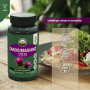 Cardo Mariano 60 Caps de 500 mg